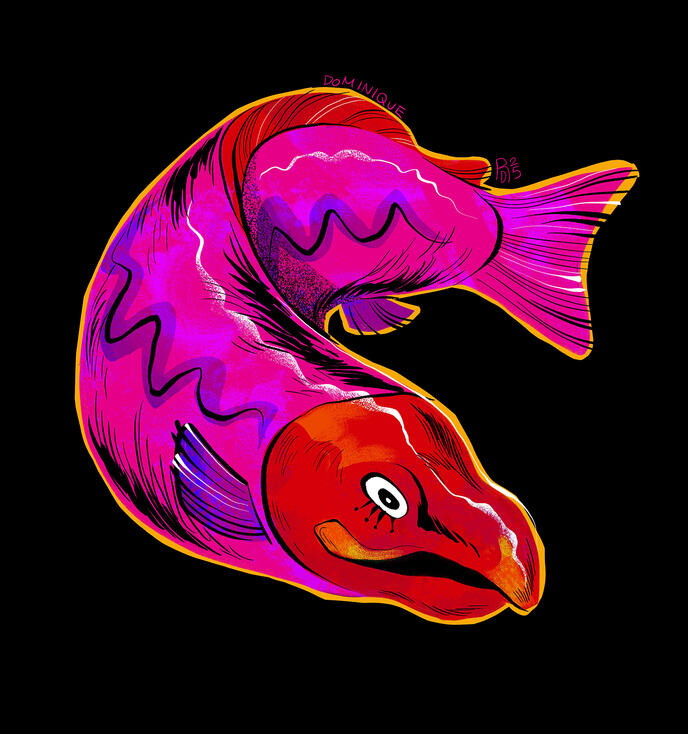 Salmon