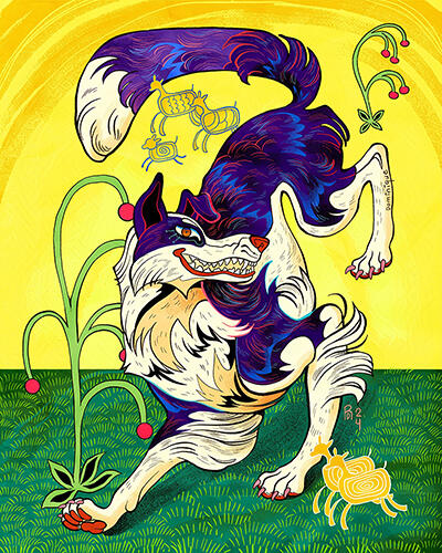 Border Collie