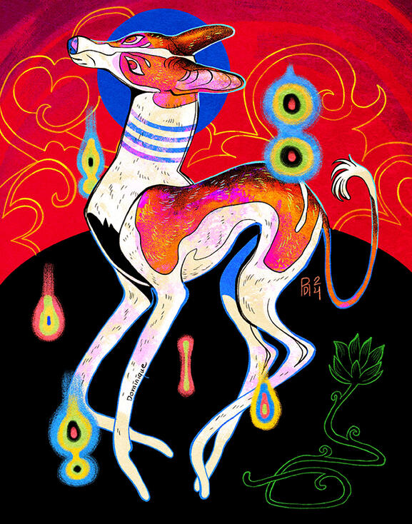 Ibizan hound
