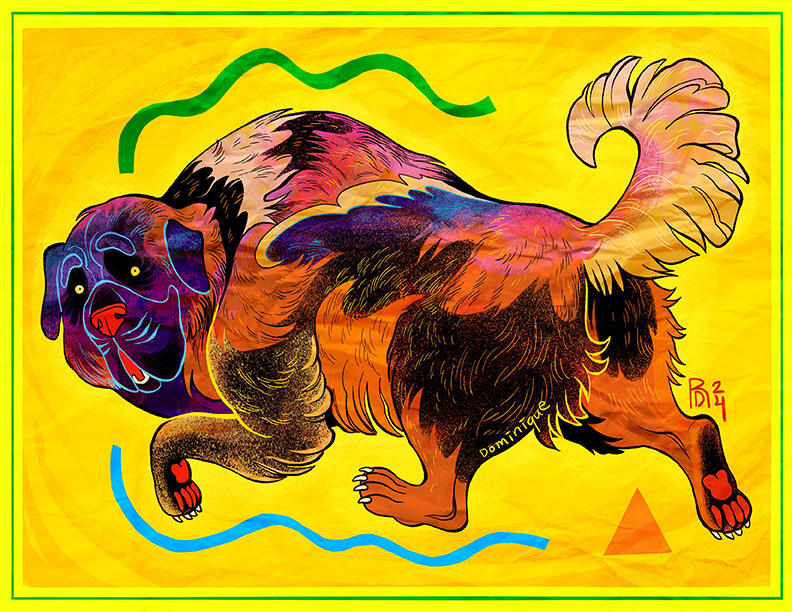 Estrela hound