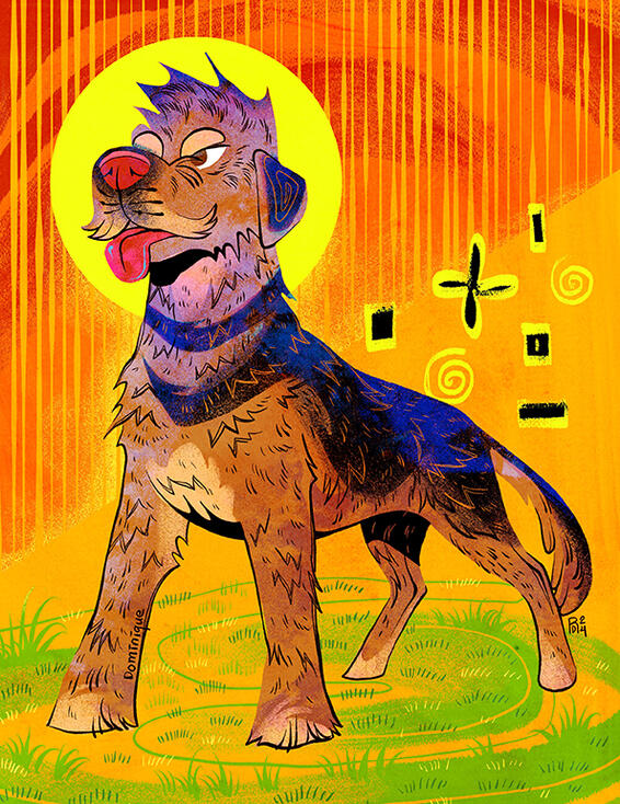 Barak hound
