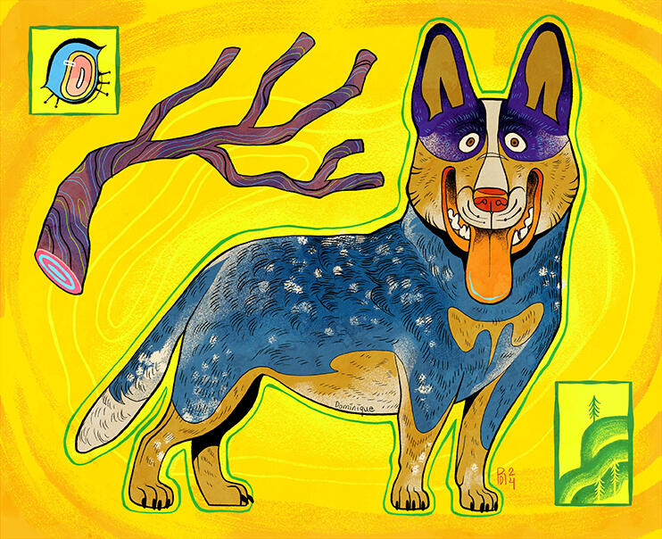 Australian Kettle dog