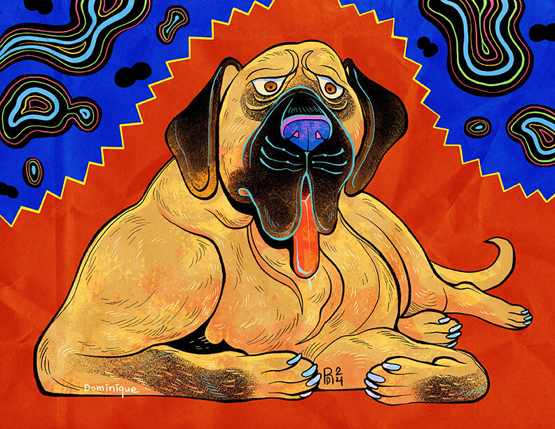 Boerboel