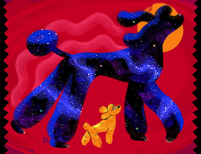 Poodle