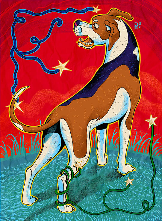 American Fox hound