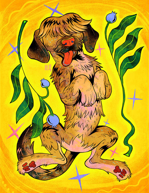 Briard