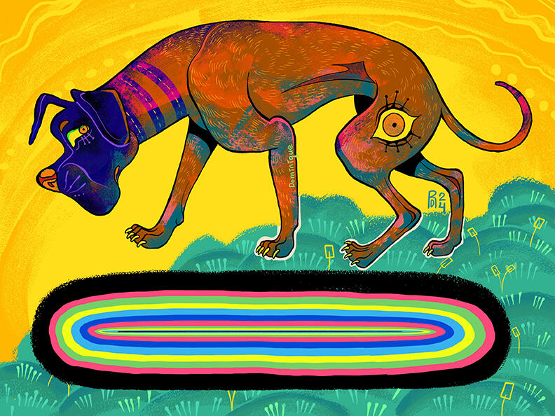 Bavarian hound