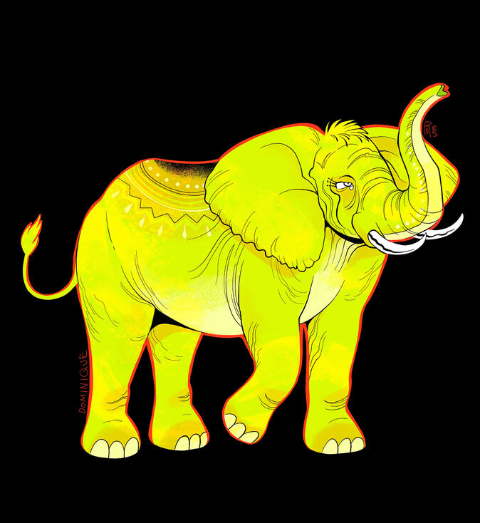 Elephant