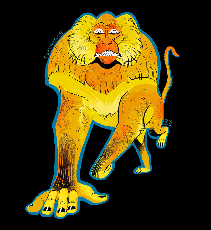 Baboon