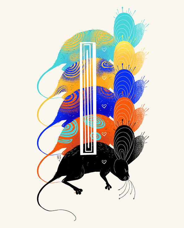 Infection