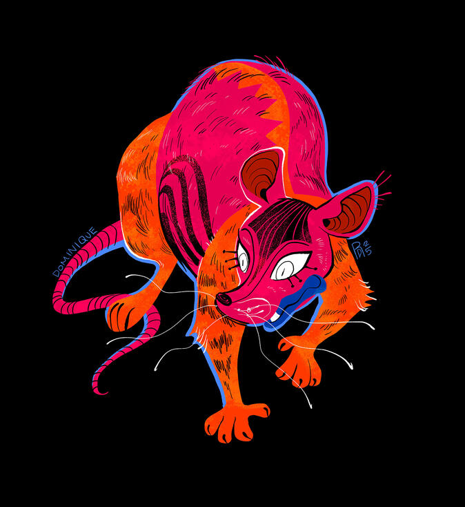 Rat
