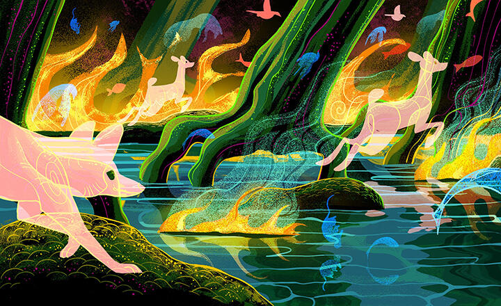 Earth in Color