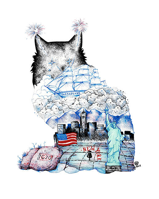 Maine Coon - USA / Ink pen and marker / 9x12 in / 2017